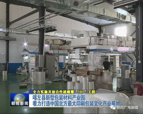 年產值20億元包裝產業園崛起，26家包裝印刷廠共筑產業新高地